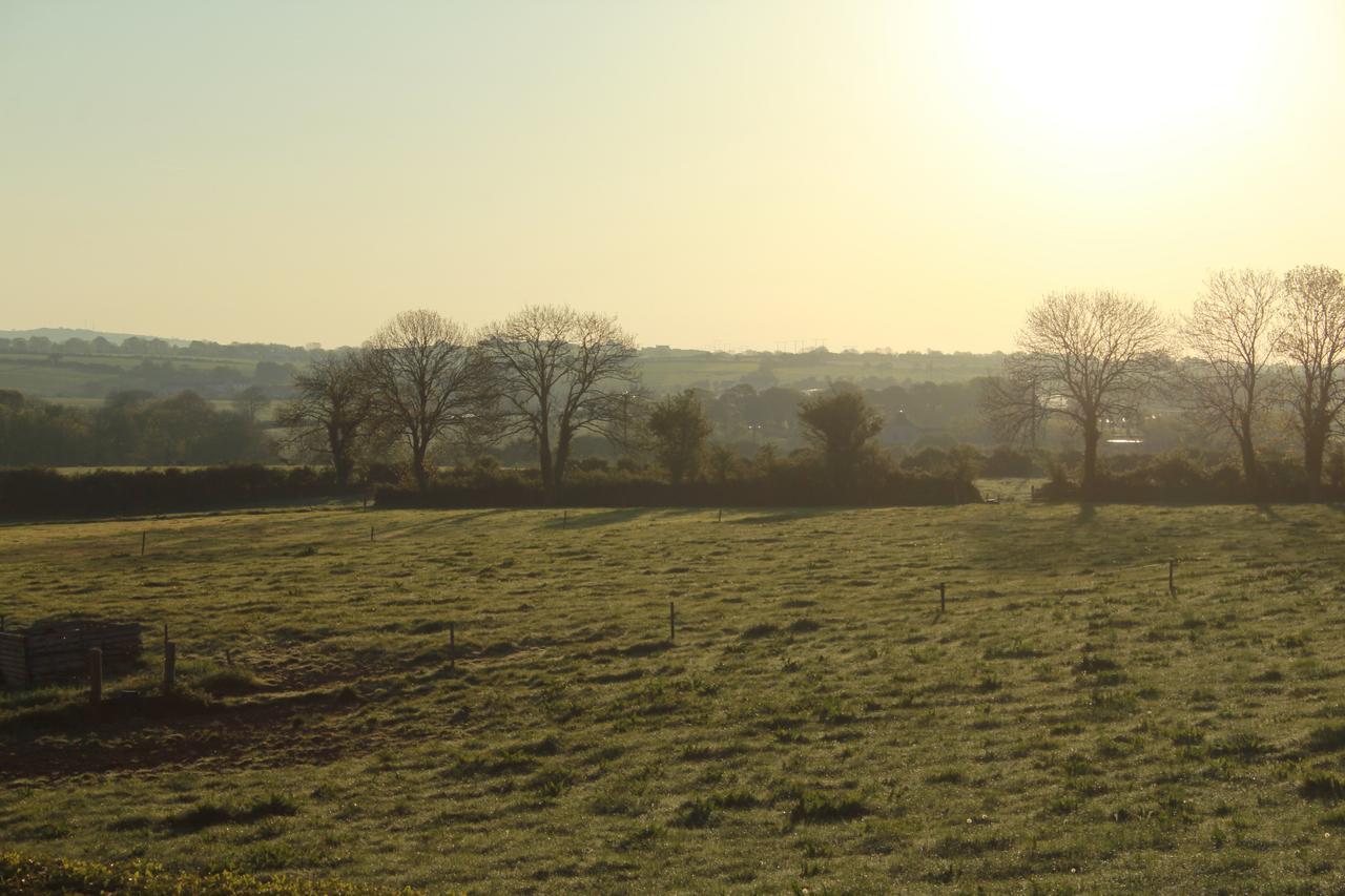 Innishannon Grey Gables Farmhouse B&B מראה חיצוני תמונה