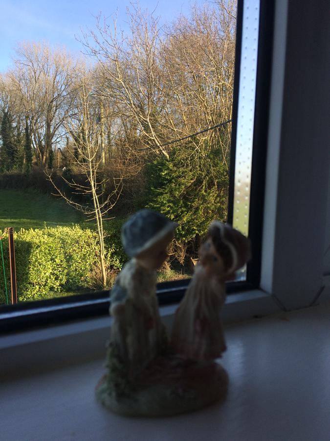 Innishannon Grey Gables Farmhouse B&B מראה חיצוני תמונה